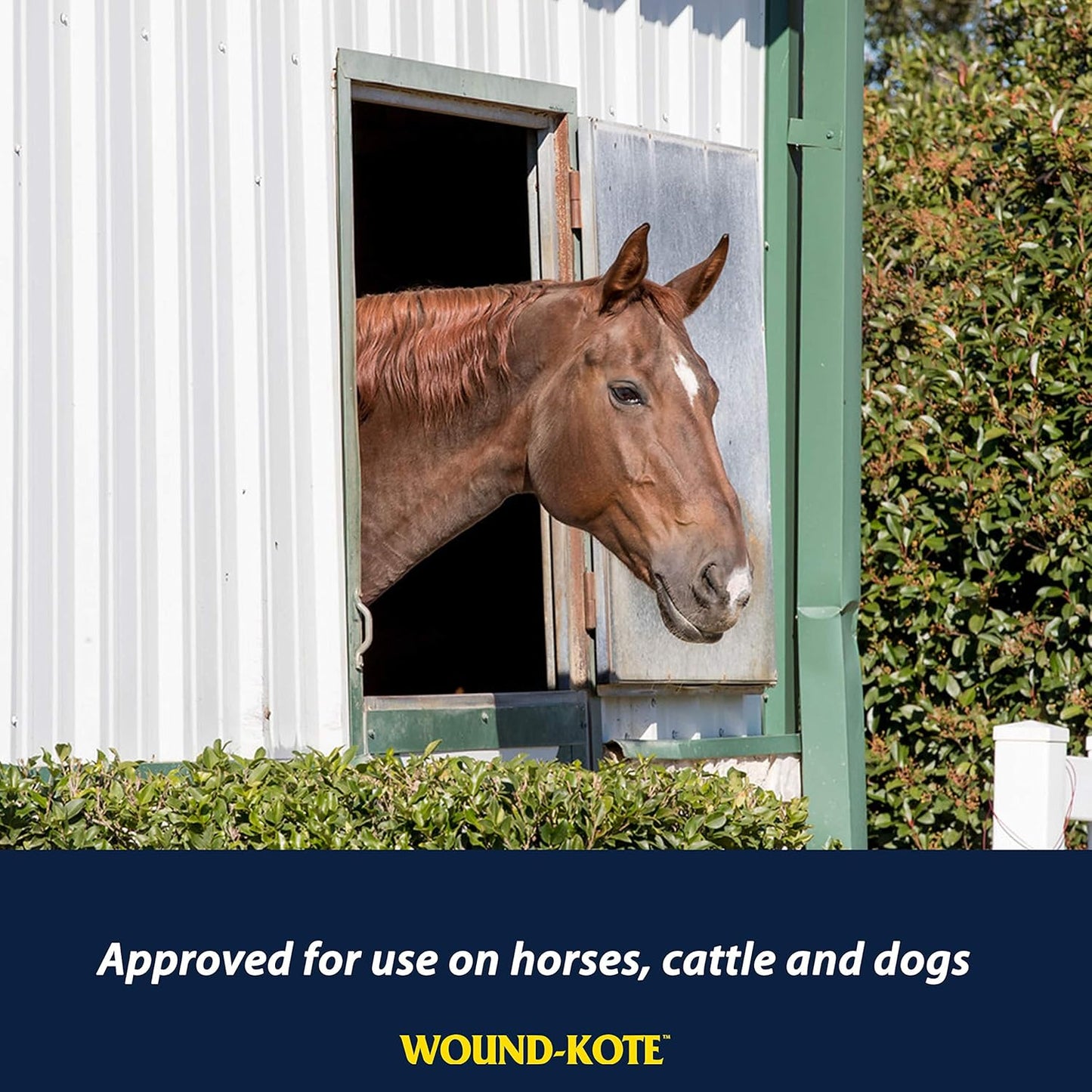 Farnam Wound-Kote Blue Lotion Spray Horse Wound Care for use on Horses and Dogs, Antiseptic Properties, for Minor Wounds, Cuts and Sores, 7 Oz.