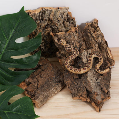 4pcs Cork Bark for Reptiles, Climbing Bark for Reptiles, Terrarium Decorations, Turtle Platform, Natural Wood