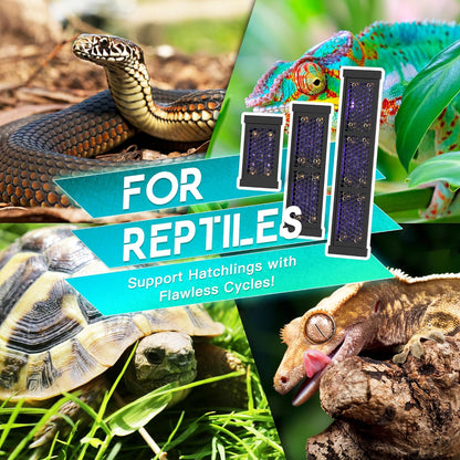 Dimmable LED Reptile UVB Lamp, 8000 Hours UVB Duration for Much Longer Lifespan, Adjustable 4/8/12-Hour Cycles, Suitable for Lizard and Chameleon, 12W, L Size