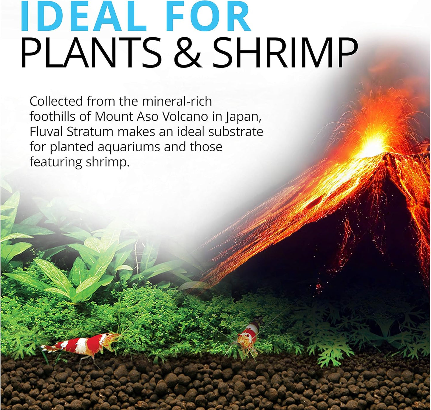 Fluval 12694 Plant and Shrimp Stratum for Freshwater Fish Tanks, 8.8 lbs. – Aquarium Substrate for Strong Plant Growth, Supports Neutral to Slightly Acidic pH