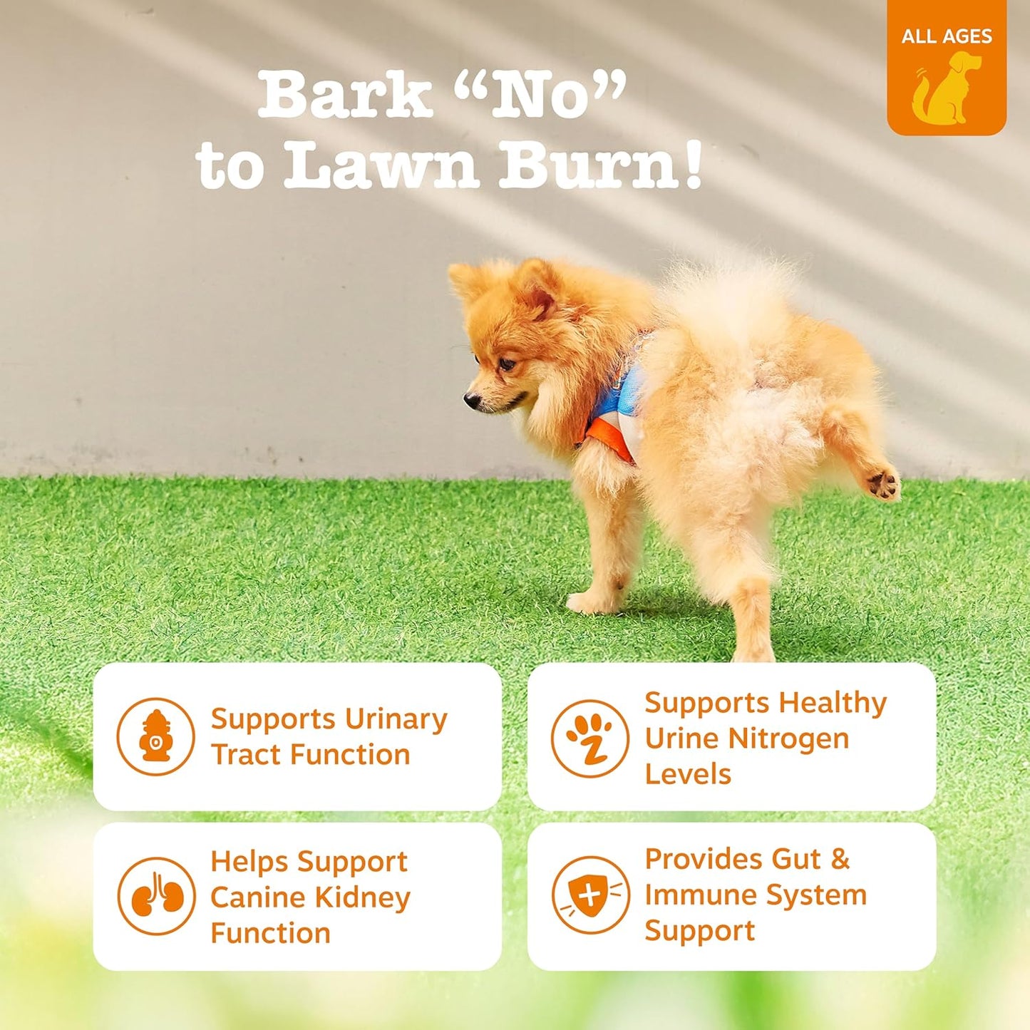 Zesty Paws Stay Green Bites for Dogs - Grass Burn Soft Chews for Lawn Spots Caused by Dog Urine - with Cranberry for Urinary Tract & Bladder - Chicken - 90 Count