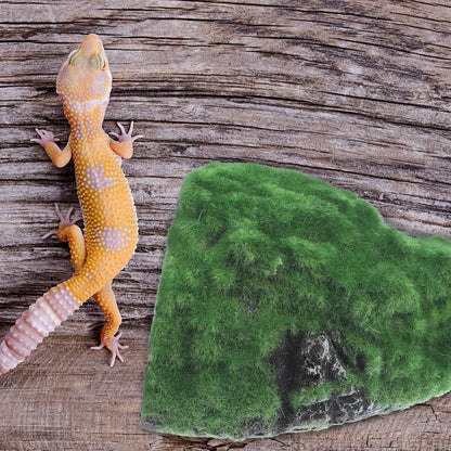 Large Resin Reptile Hideout Cave Basking Terrace, Realistic Tortoise Shelter and Gecko Hide for Terrarium Environment, Suitable for Bearded Dragons and Turtle Tanks