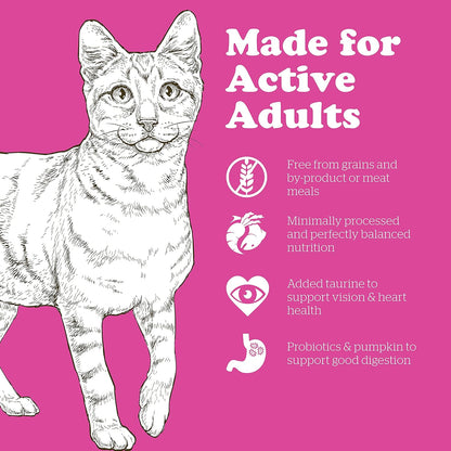 Now Fresh Grain-Free Dry Cat Food with Turkey, Salmon & Duck, Healthy Kibble for Adults Made with Real Meat & Fish, Chicken-Free, with Pumpkin & Probiotics for Sensitive Stomachs, 3 lb Bag