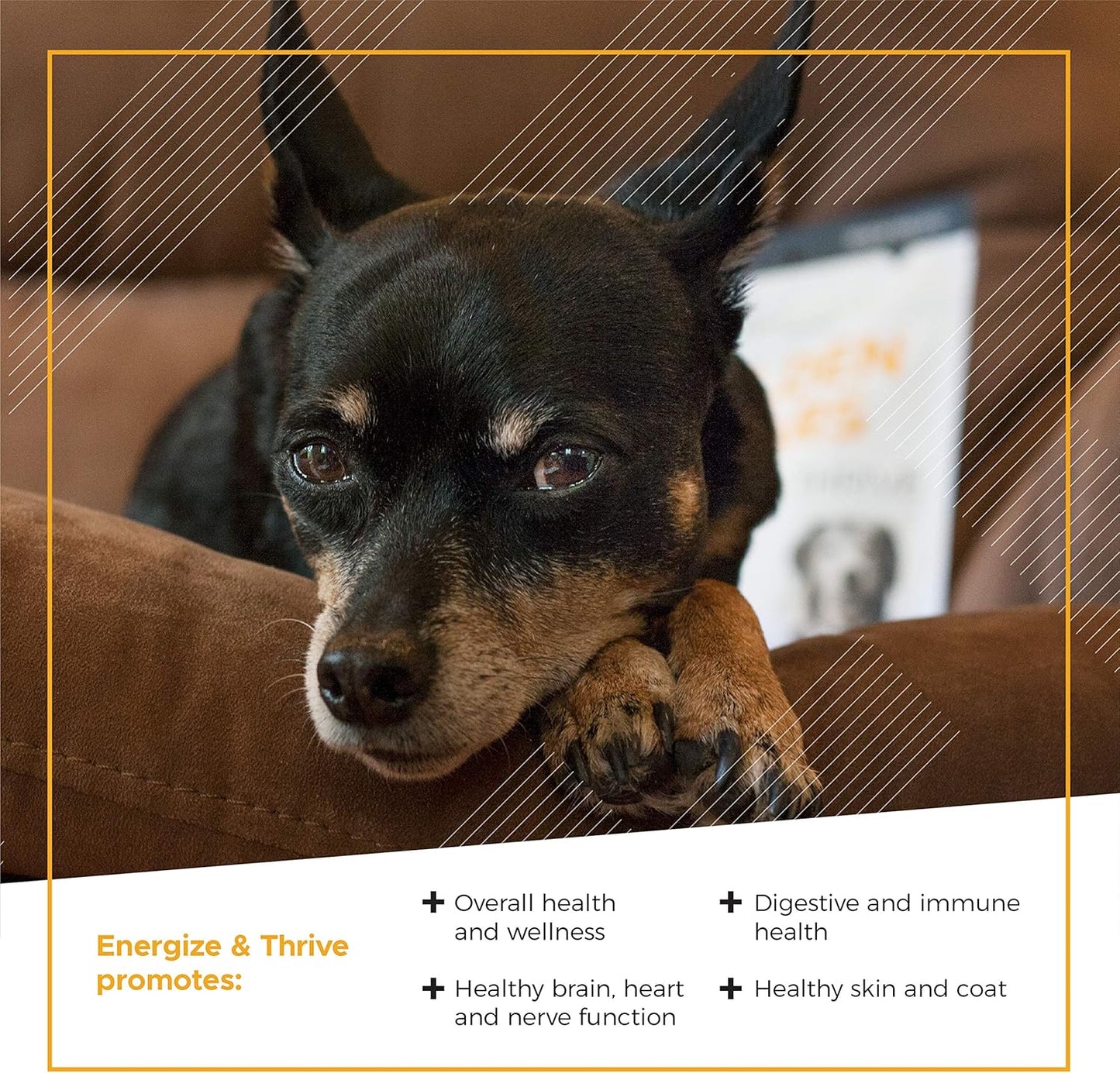 VetriScience Extra Strength Senior 27+ Active Health Chews, Golden Years Daily Multivitamin for Senior Dogs, Balanced Vitamins, Minerals, and Omega-3s, Aging and Wellness Support, Chicken, 60 Count