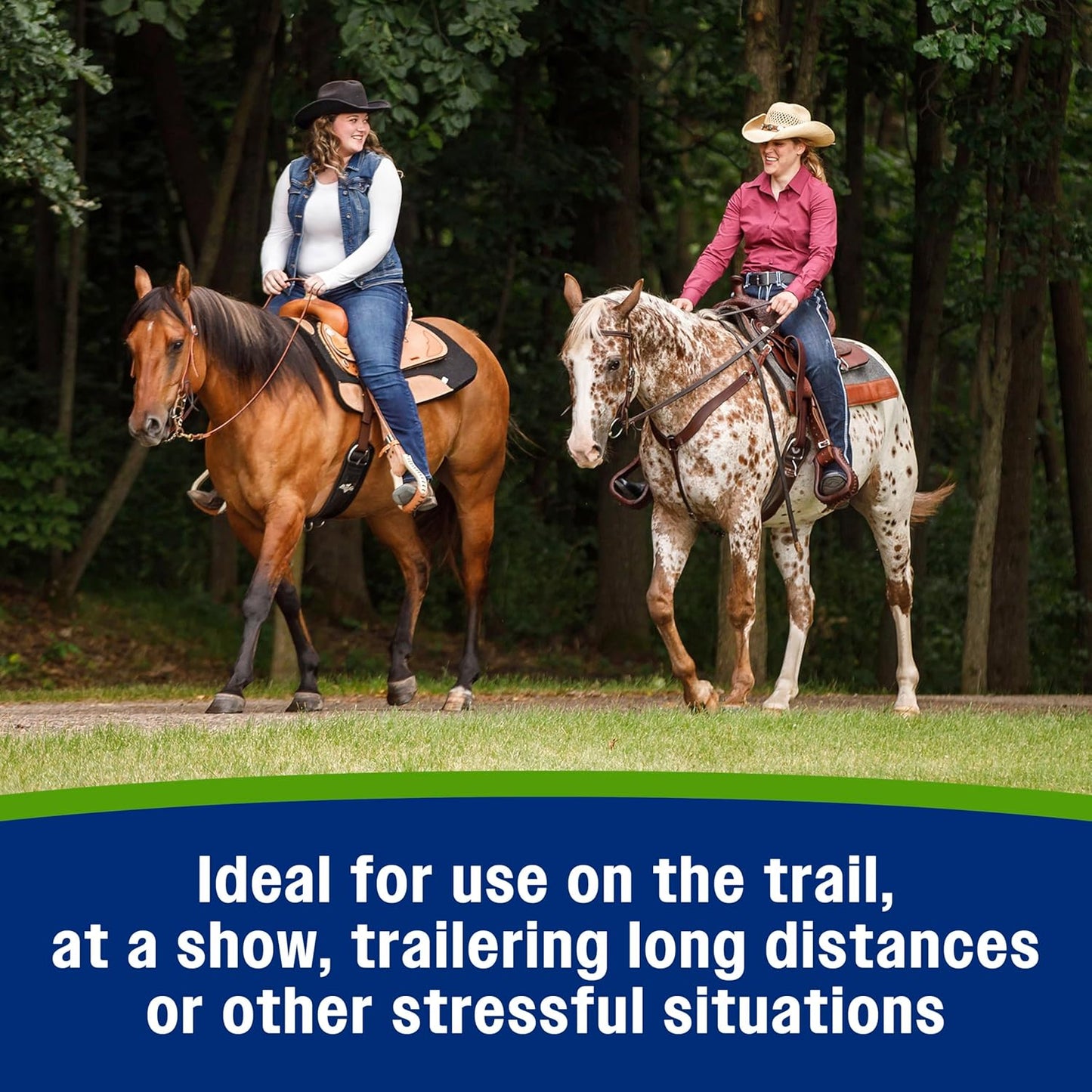 Farnam Apple Elite Electrolyte Paste Supplement for Horses, Replaces Vital Minerals, Encourages Hydration, No Added Sugar, 60 cc syringe