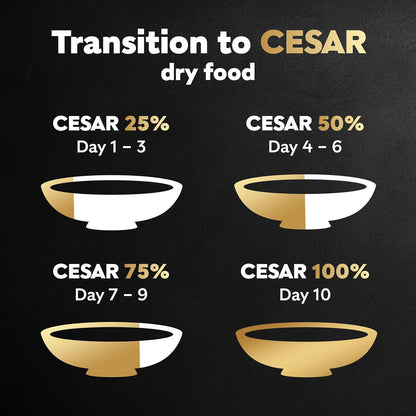 Cesar Small Breed Dry Dog Food Filet Mignon Flavor and Spring Vegetables Garnish, 12 lb. Bag