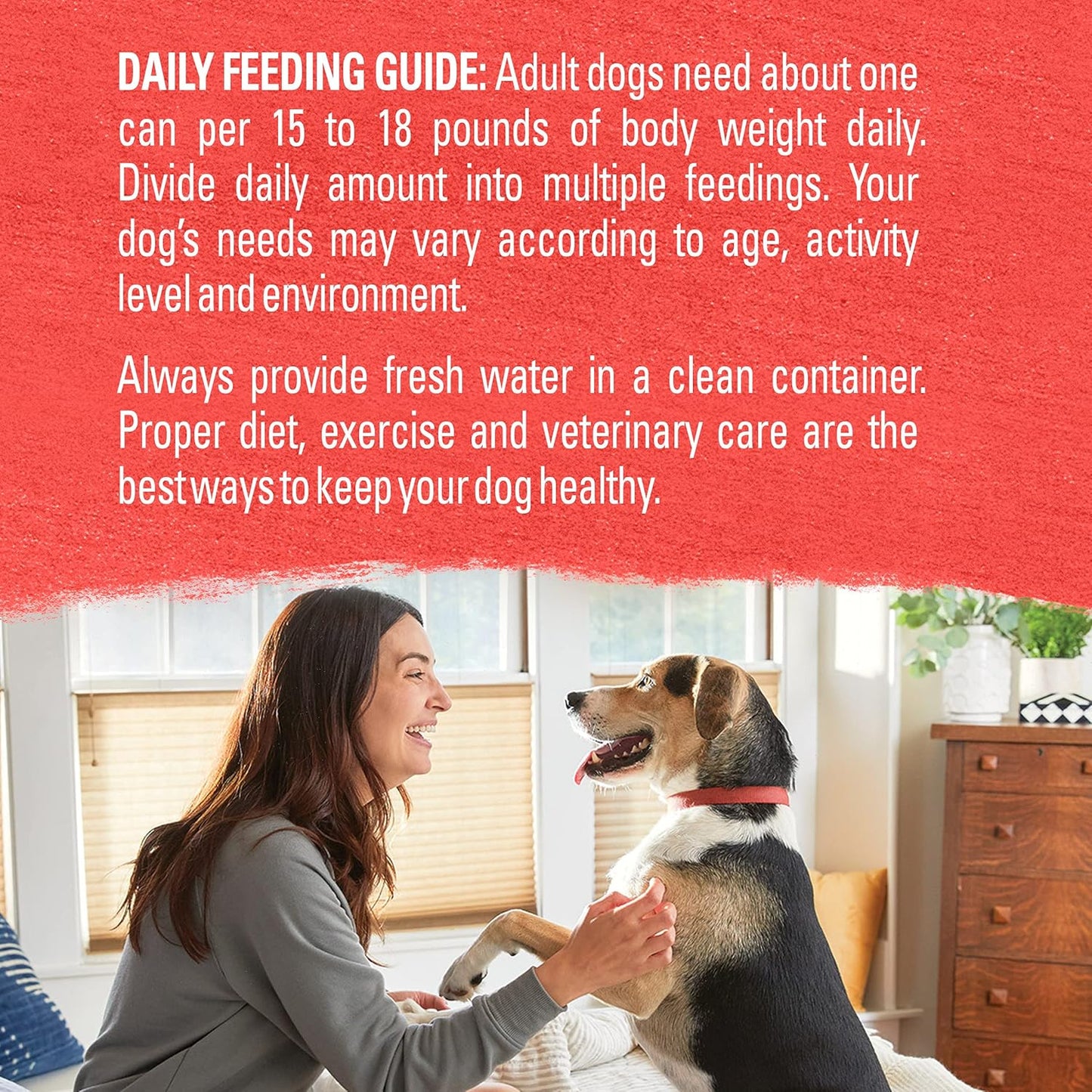 Purina Beyond Beef, Potato, and Green Bean Grain Free Wet Dog Food Natural Pate with Added Vitamins and Minerals - (Pack of 12) 13 oz. Cans