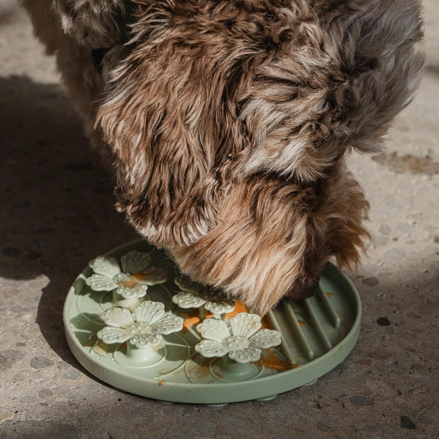 Hide & Seek Slow Feeder - Sage Green - Dog & Pet, Meal & Treat Feeding Accessory, Fits in Most 8" Bowls, Suction Base, Food-Grade Silicone