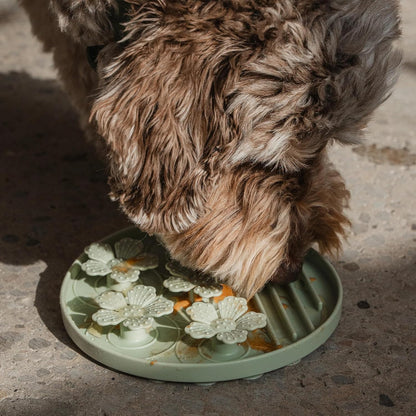 Hide & Seek Slow Feeder - Sage Green - Dog & Pet, Meal & Treat Feeding Accessory, Fits in Most 8" Bowls, Suction Base, Food-Grade Silicone