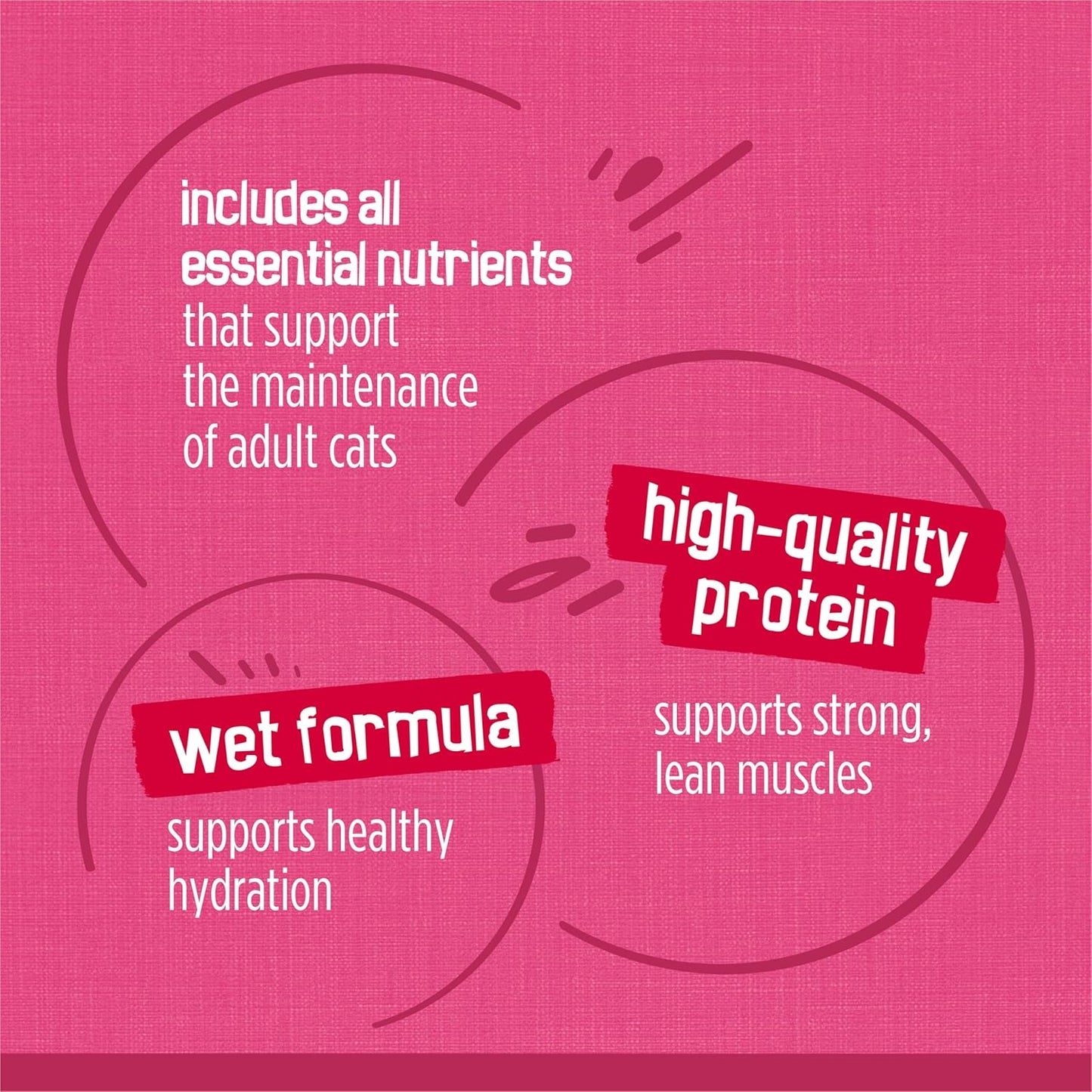 Purina Friskies Gravy Wet Cat Food Variety Pack, Surfin’ and Turfin’ Prime Filets Favorites - (Pack of 40) 5.5 oz. Cans