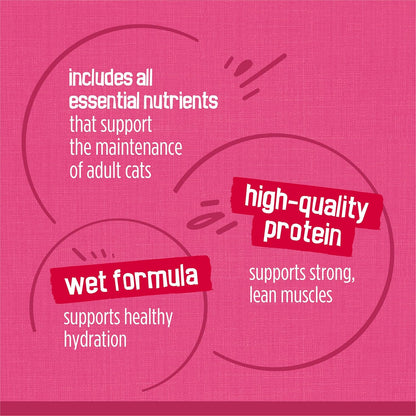 Purina Friskies Gravy Wet Cat Food Variety Pack, Surfin’ and Turfin’ Prime Filets Favorites - (Pack of 40) 5.5 oz. Cans