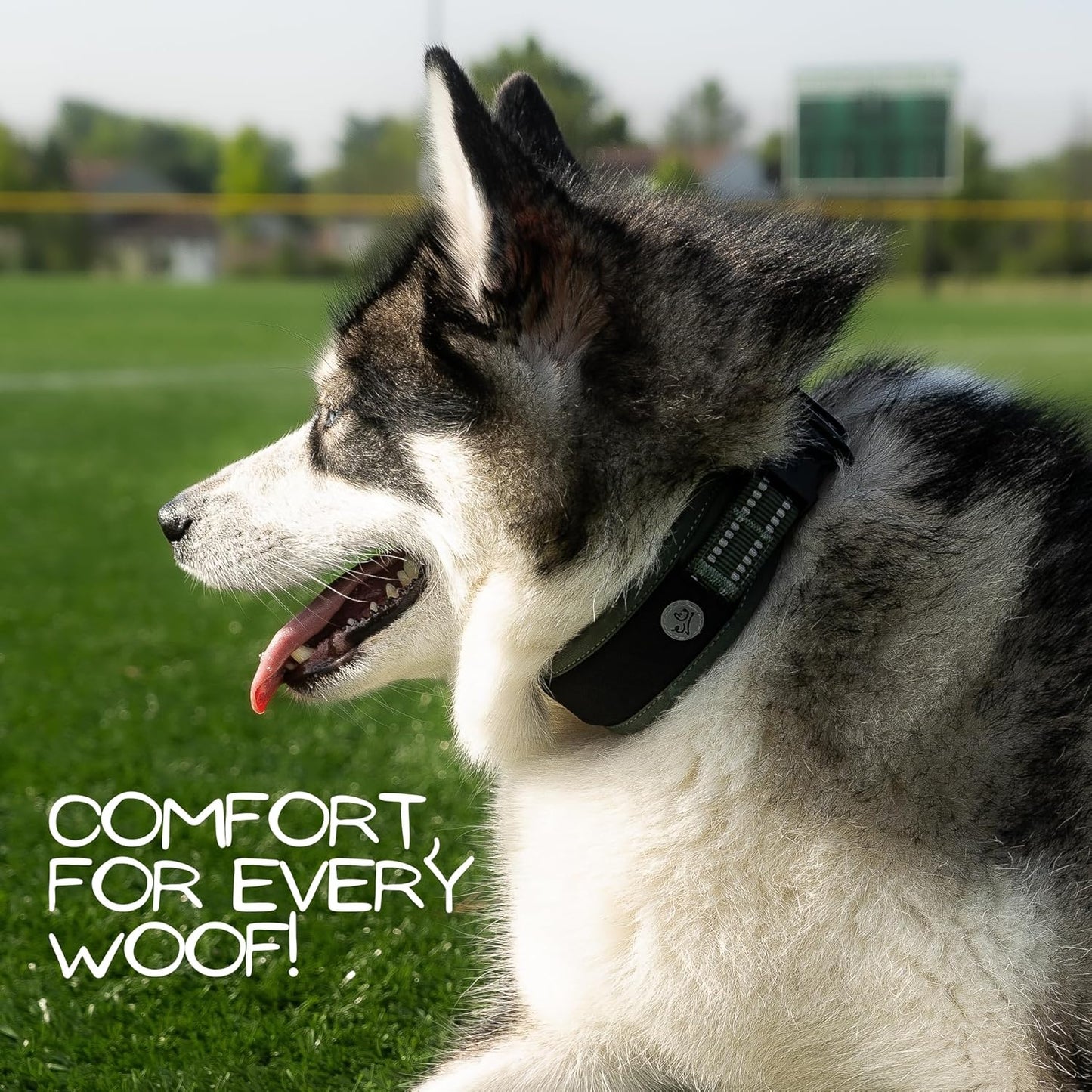 Premium AirTag Dog Collar - Aitag Dog Collar Holder – Reflective AirMesh Padded, Heavy-Duty Quick-Release Dog Collar, Adjustable Secure Fit - Small Medium Large Dogs (Green, XS)