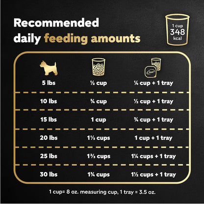 Cesar Small Breed Dry Dog Food Rotisserie Chicken Flavor and Spring Vegetables Garnish, 12 lb. Bag