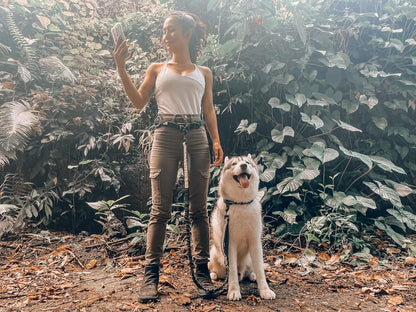 Tuff Pupper Heavy Duty Hands Free Dog Leash | One Large Dog Up to 125 lbs | Comfortable Shock Absorbing Bungee | Reflective Padded Handles | Lumbar Waist Belt 26-38" | Walking Jogging Running Leash