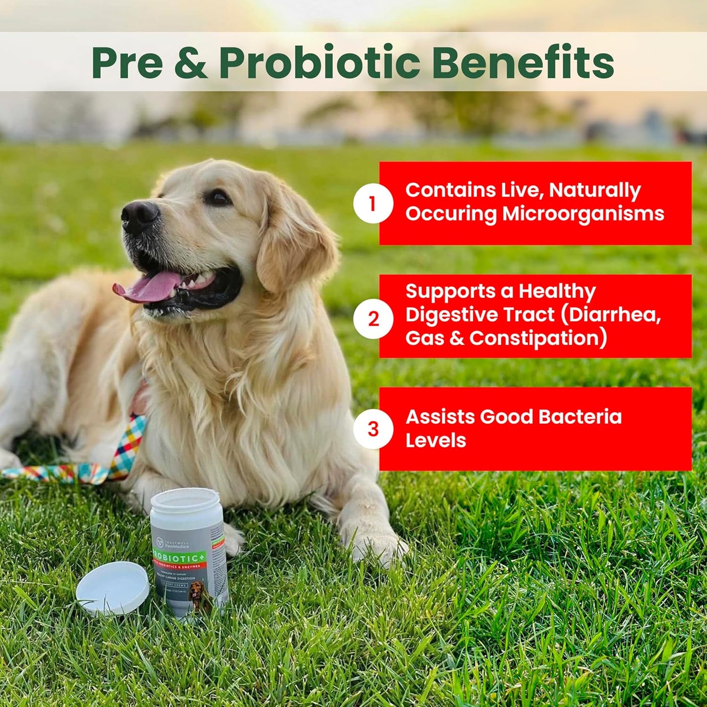 PawMedica Dog Probiotics and Digestive Enzymes, Probiotics for Dogs Made in USA, Pet Probiotic Chews for Dogs, Prebiotics & Probiotic Dog Digestive Support, Probiotic Treats - 60 Dog Probiotic Chews