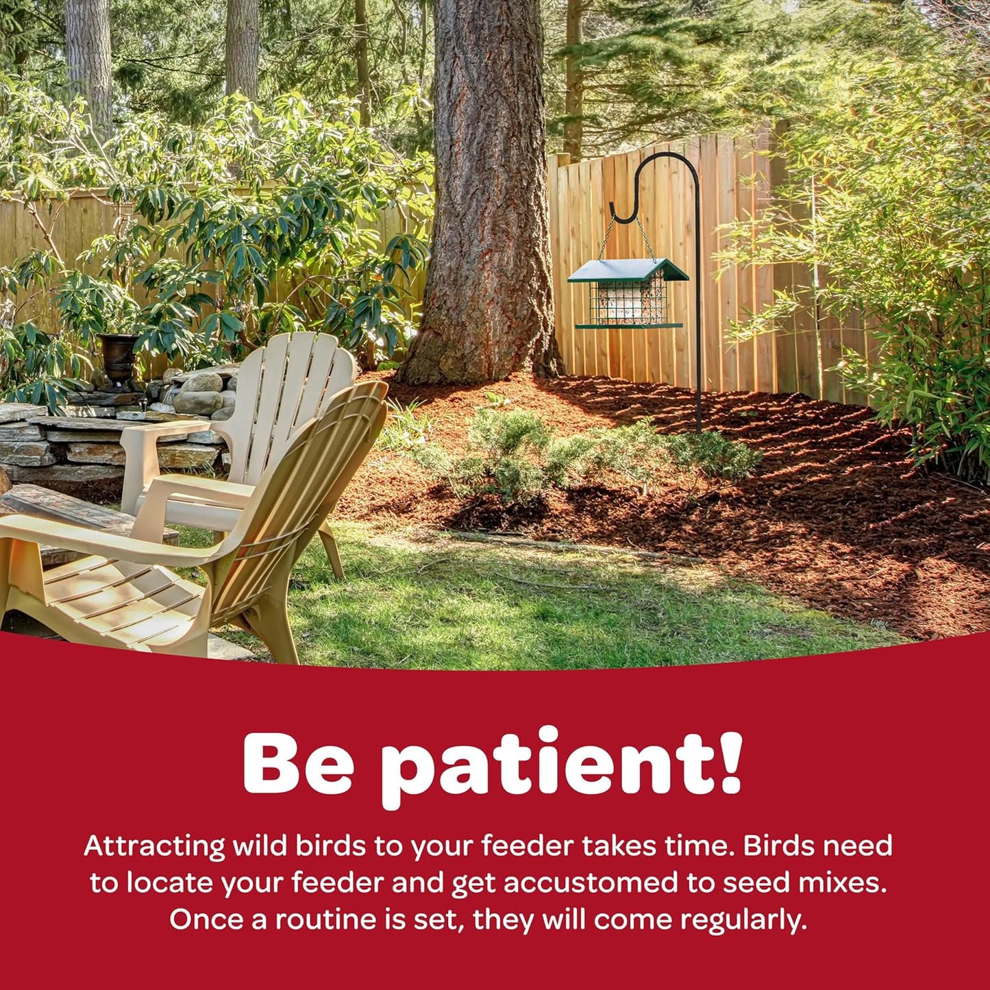 Kaytee All American Wild Bird Food Seed Blend, 5 Pound