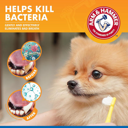 Arm & Hammer for Pets Combo Pack Dental Tartar Control Water Additive and Fresh Breath Vanilla Ginger Enzymatic Toothpaste | Includes 16 Oz Water Additive and 2.5 oz Dog Toothpaste