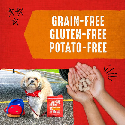 Stella & Chewy's Freeze-Dried Raw Dog Treats - Carnivore Crunch for Training - Natural Limited Ingredient, Grain-Free - Perfect for Picky Eaters - Grass-Fed Beef Recipe - 3.25 oz Bag