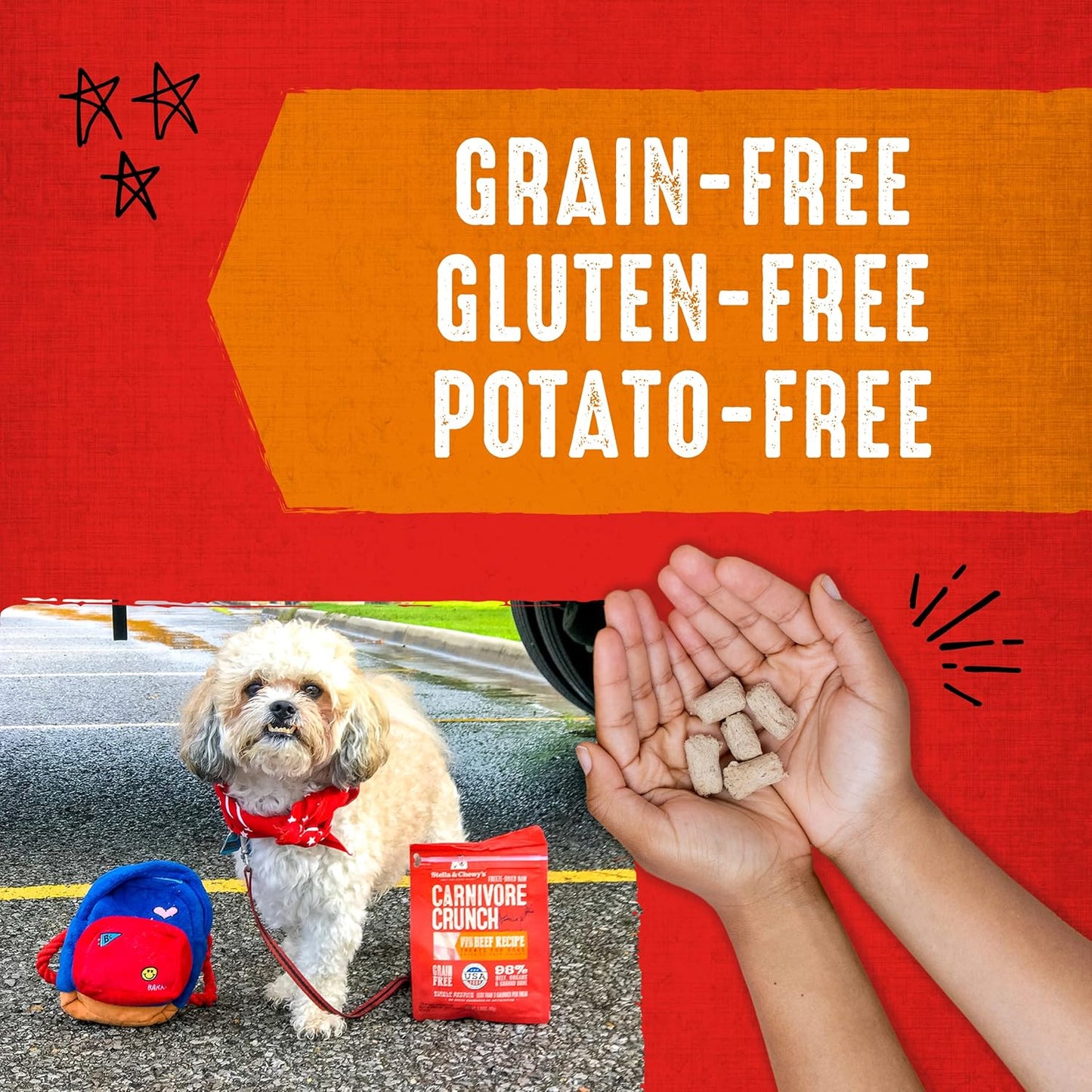 Stella & Chewy's Freeze-Dried Raw Dog Treats - Carnivore Crunch for Training - Natural Limited Ingredient, Grain-Free - Perfect for Picky Eaters - Grass-Fed Beef Recipe - 3.25 oz Bag