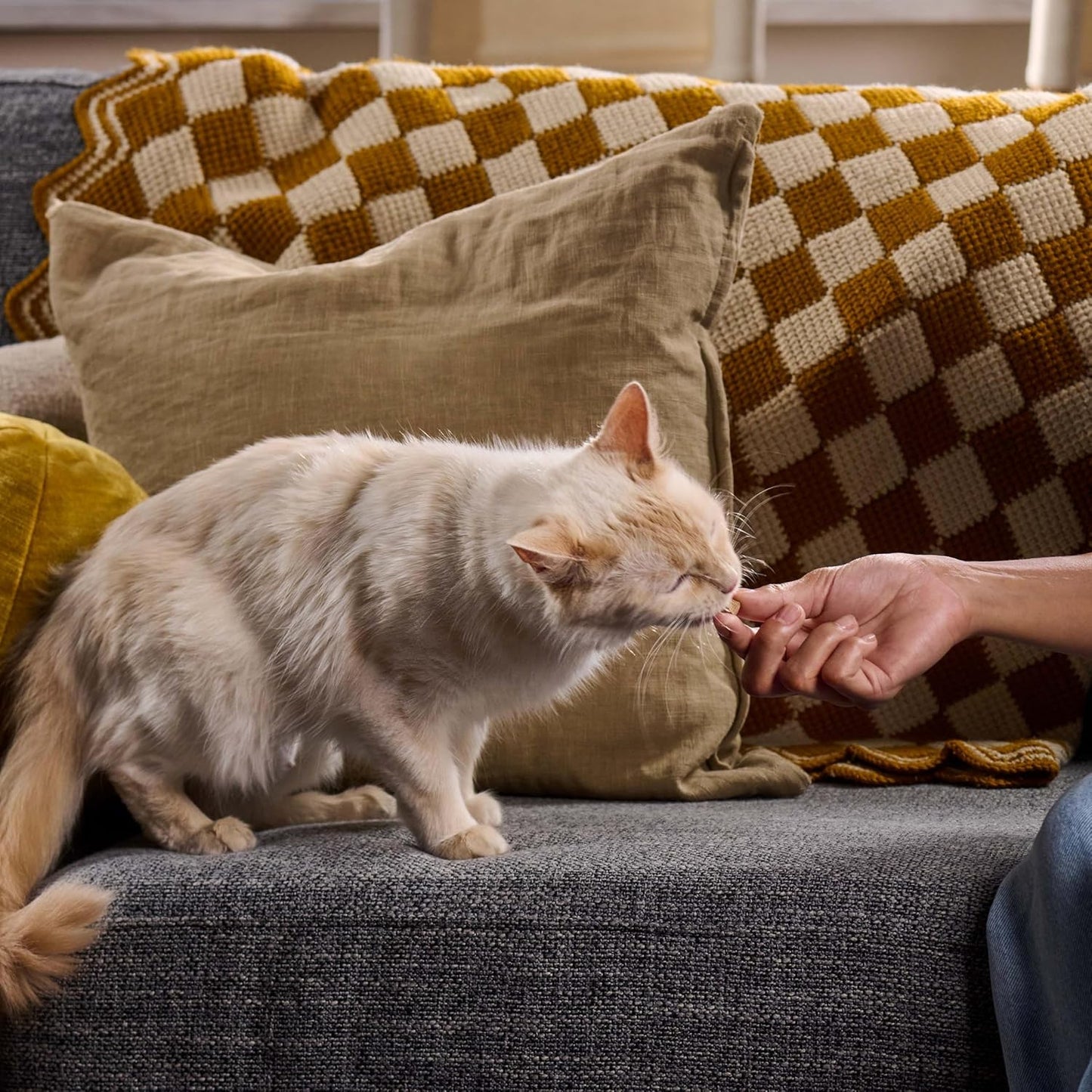 Meow Mix Irresistibles Soft Cat Treats, White Meat Chicken, 3 Ounce (Pack of 5)