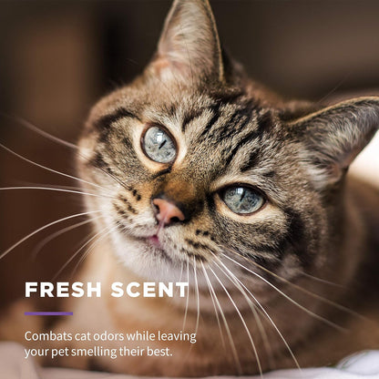 Wet Ones for Pets Freshening Multipurpose Wipes for Cats with Aloe Vera, Fresh Scent - Easy to Use Cat Cleaning Wipes for Pet Grooming in Canister, 50 Count