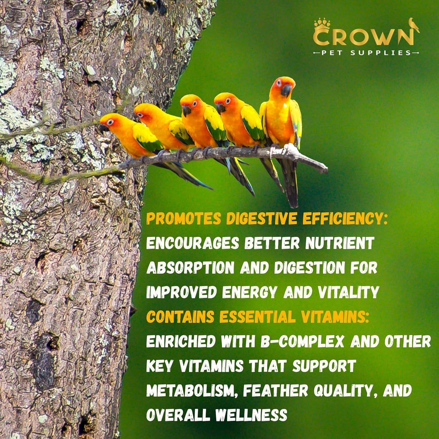 Liver Support Supplement for Birds – 100g Vitamin & Herbal Blend with Milk Thistle, Amino Acids & B Vitamins – Supports Detox, Digestion, Eye Health & Metabolism