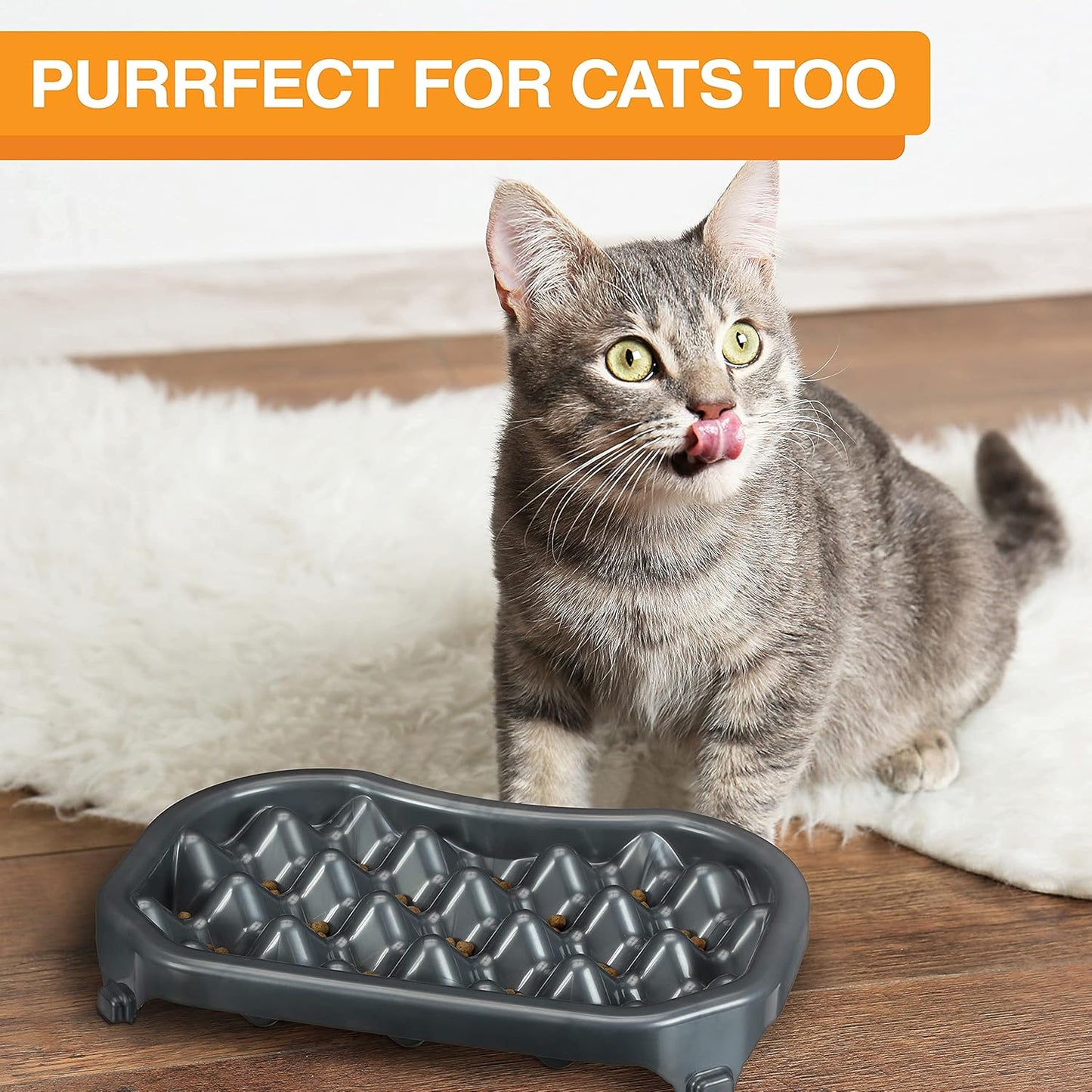 Neater Pet Brands Neater Slow Feeder Dog Bowls, Slows Down Fast Eaters to Help Digestion & Prevent Overeating, Non-Slip Food Bowl, BPA-Free, Holds 2.5 Cup of Food for Small to Medium Breed or Puppy