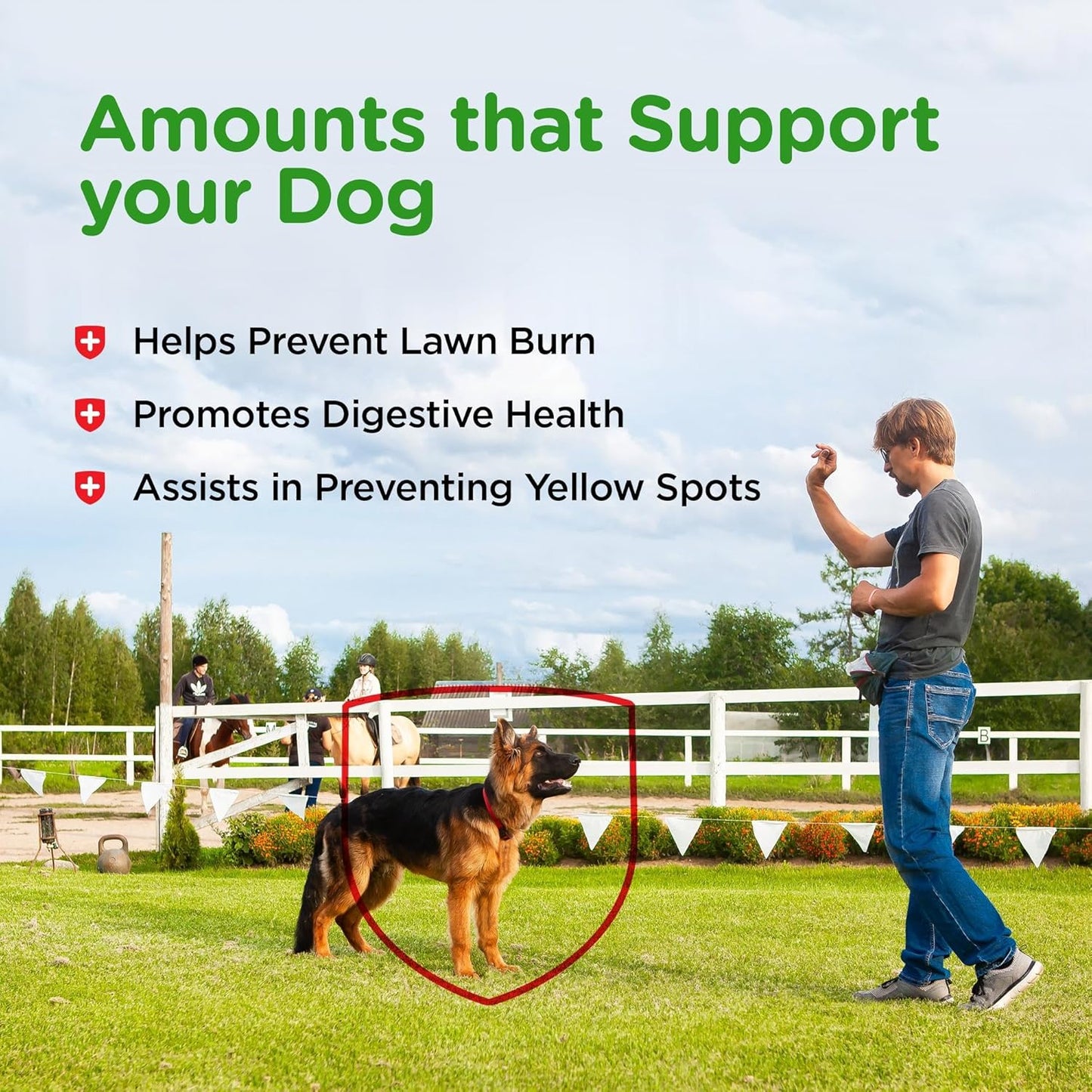 Nutri-Vet Grass Guard Chewables for Dogs, Prevents Lawn Burn from Dog Urine, Protects Grass, and Supports Digestive Health, 365 Count