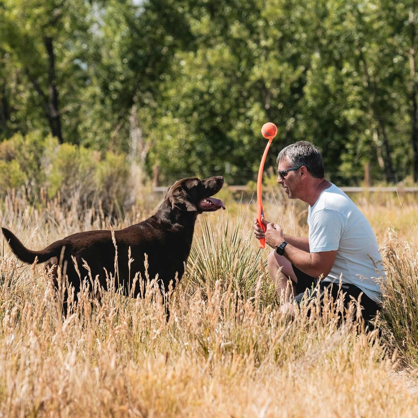 Chuckit! Sport 26L Dog Ball Launcher - Includes a 3-inch Diameter Large Ball for Dogs 60-100 Pounds - Manual Thrower for Dog Balls With a Slim Ergonomic Handle - 26-inch Length