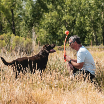 Chuckit! Sport 26L Dog Ball Launcher - Includes a 3-inch Diameter Large Ball for Dogs 60-100 Pounds - Manual Thrower for Dog Balls With a Slim Ergonomic Handle - 26-inch Length