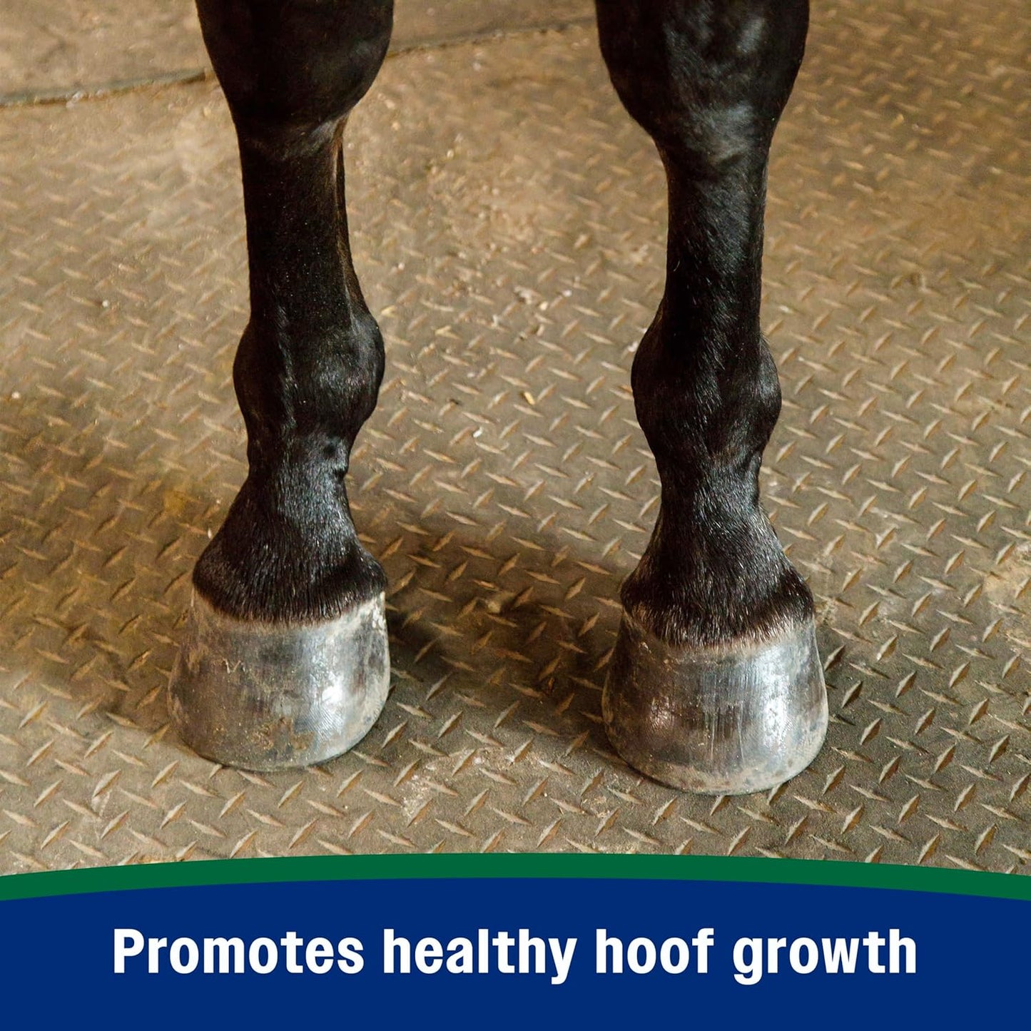 Farnam Horseshoer's Secret Pelleted Hoof Supplements, Promotes healthy hoof growth, maintains hoof walls & supports cracked hooves, 38 lbs., 100 day supply