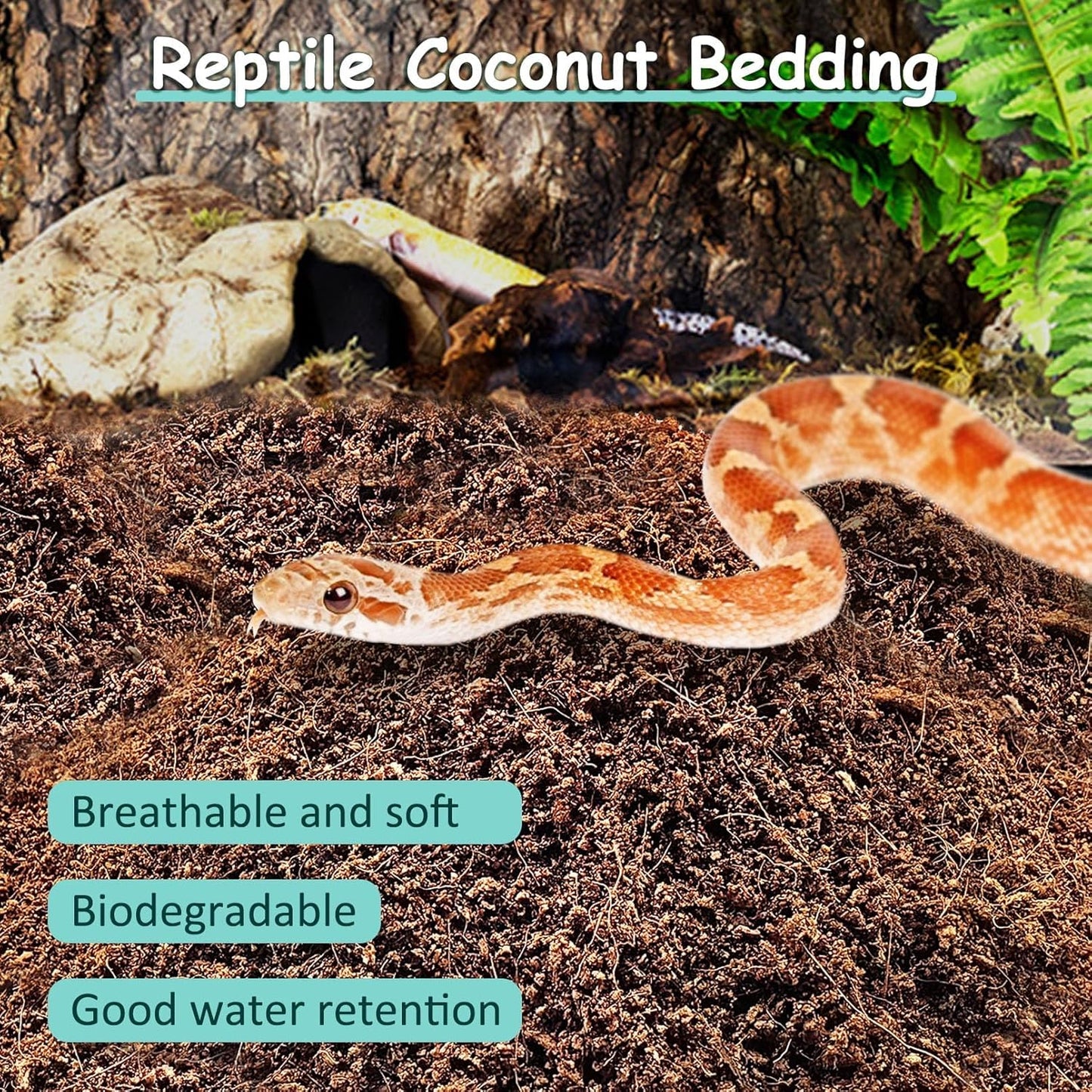 VCEPJH Reptile Bark Bedding,1 LB Natural Cork Bark for Geckos and Loose Coconut Fiber Substrate 3 Pack Natural Coco Coir Reptile Bedding for Tarantula Snake Bearded Dragon Spiders Hermit Crabs