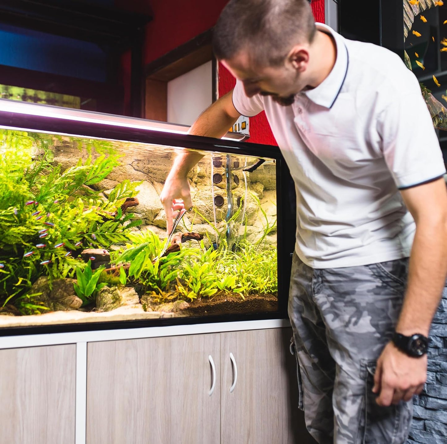 Mandala Crafts 12 Inches Black Stainless Steel Curved Aquarium Scissors for Trimming Aquatic Plants – Bent Aquascape Scissors for Fish Tanks, Hospital Tanks, Goldfish Bowls, and Terrariums