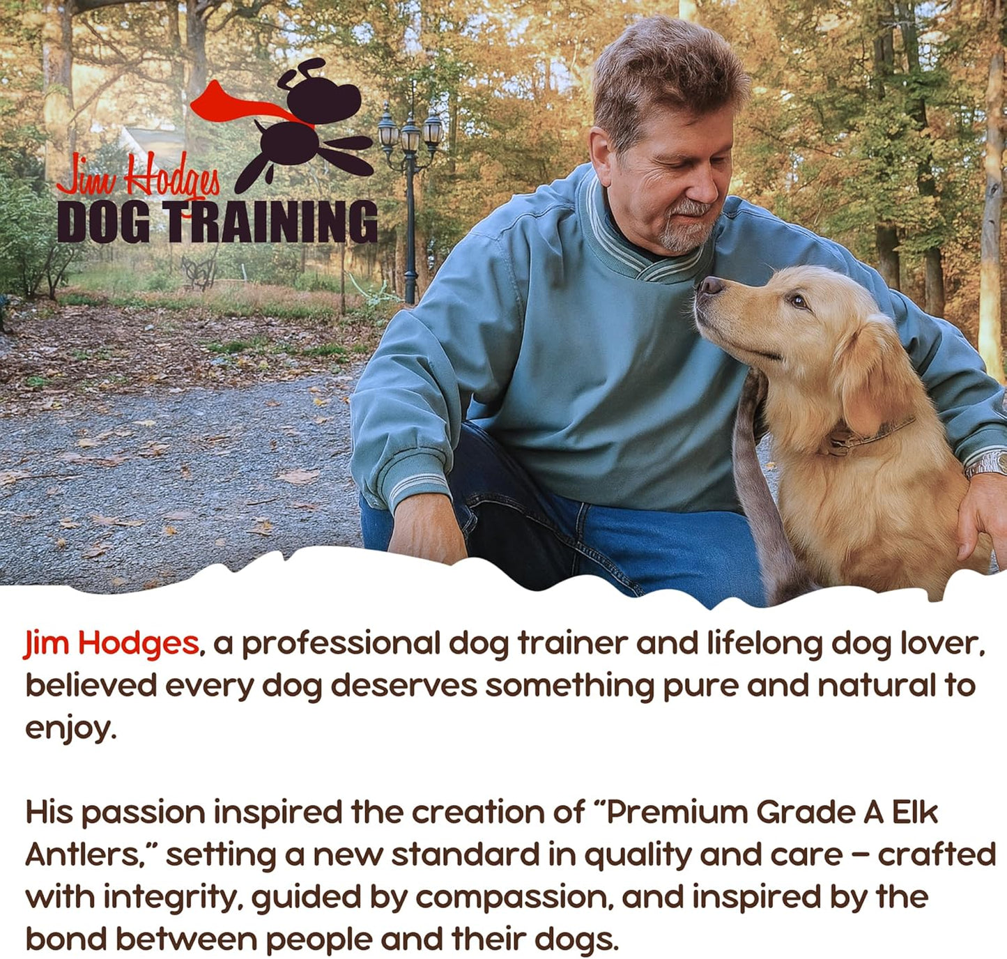 Grade A Premium Quality Elk Antler Dog Chews, Naturally Shed No Preservatives for Mild to Aggressive Chewers, Long Lasting Bone Treat Made in USA (Large Whole 2 Pack)