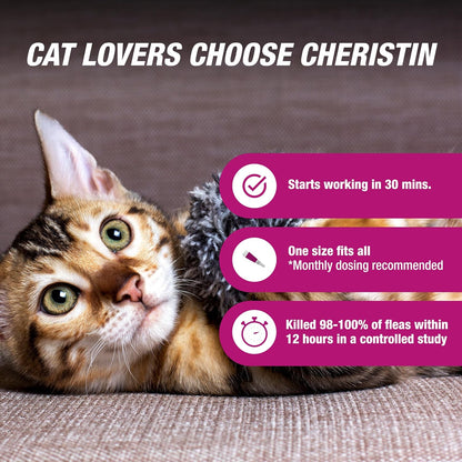 Cheristin Flea Treatment & Prevention for Cats | Fast acting topical flea treatment for cats over 1.8 lbs | 1 Count
