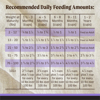 Merrick Backcountry Grain Free Dry Puppy Dog Food, Kibble with Freeze Dried Raw Pieces, Chicken Recipe - 4.0 lb. Bag