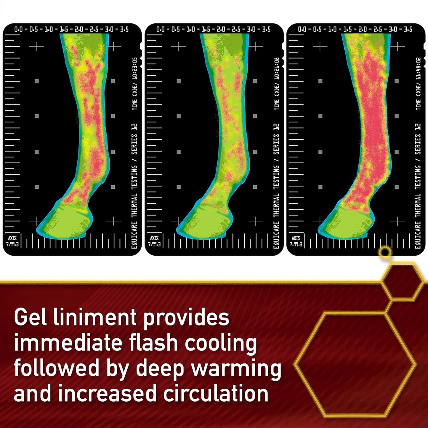 Vita Flex Thermaflex Liniment Gel for Sore Muscles and Joint Relief in Horses 12 Fluid Ounces