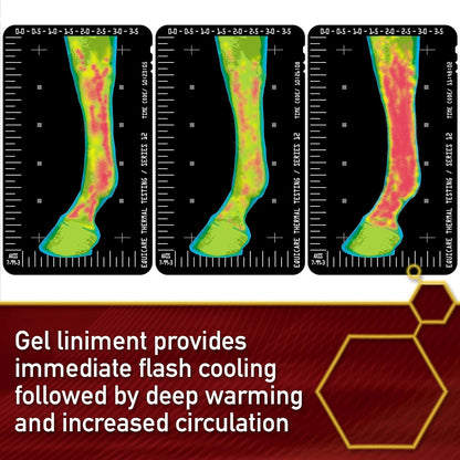 Vita Flex Thermaflex Liniment Gel for Sore Muscles and Joint Relief in Horses 12 Fluid Ounces (Pack of 2)