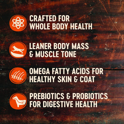 Wellness CORE Natural Grain Free Senior Dry Dog Food, 24 Pound Bag CORE Bowl Boosters Joint Health Dog Food Topper