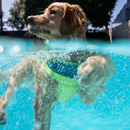 Outward Hound Standley Sport Dog Life Jacket, High-Performance Ripstop Dog Life Vest for Swimming, Boating, and Water Safety, Large, Green