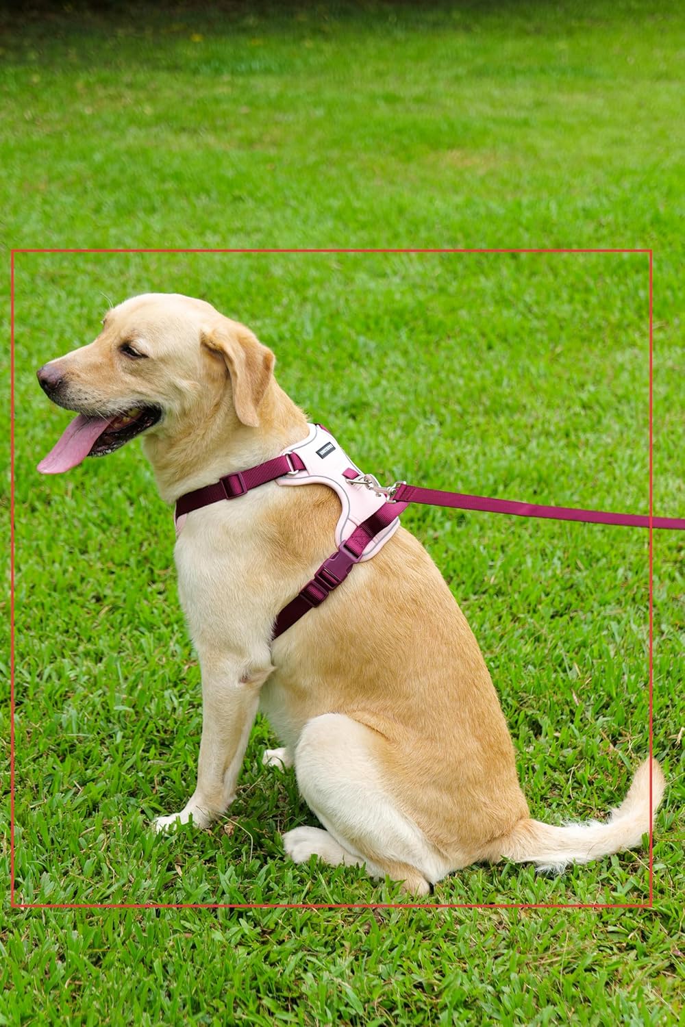 No Pull Dog Harness Leash and Collar Set, Soft Adjustable Dogs Vest Reflective and Comfortable Handle Pink Large