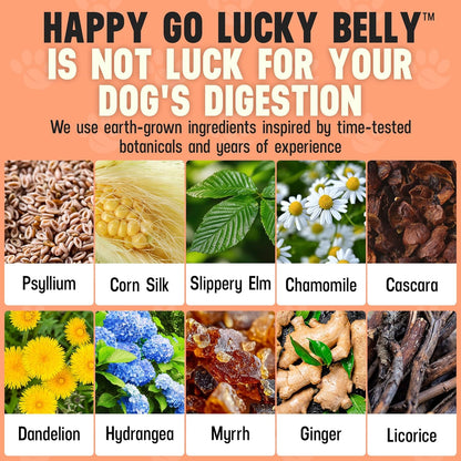 Better Dog Supplements Happy-Go-Lucky Belly by Cesar Millan – Natural Digestive Support Powder for Dogs – Upset Stomach Relief, Gut Balance & Regularity with Herbal Fiber Blend – 4oz (60-Day Supply)
