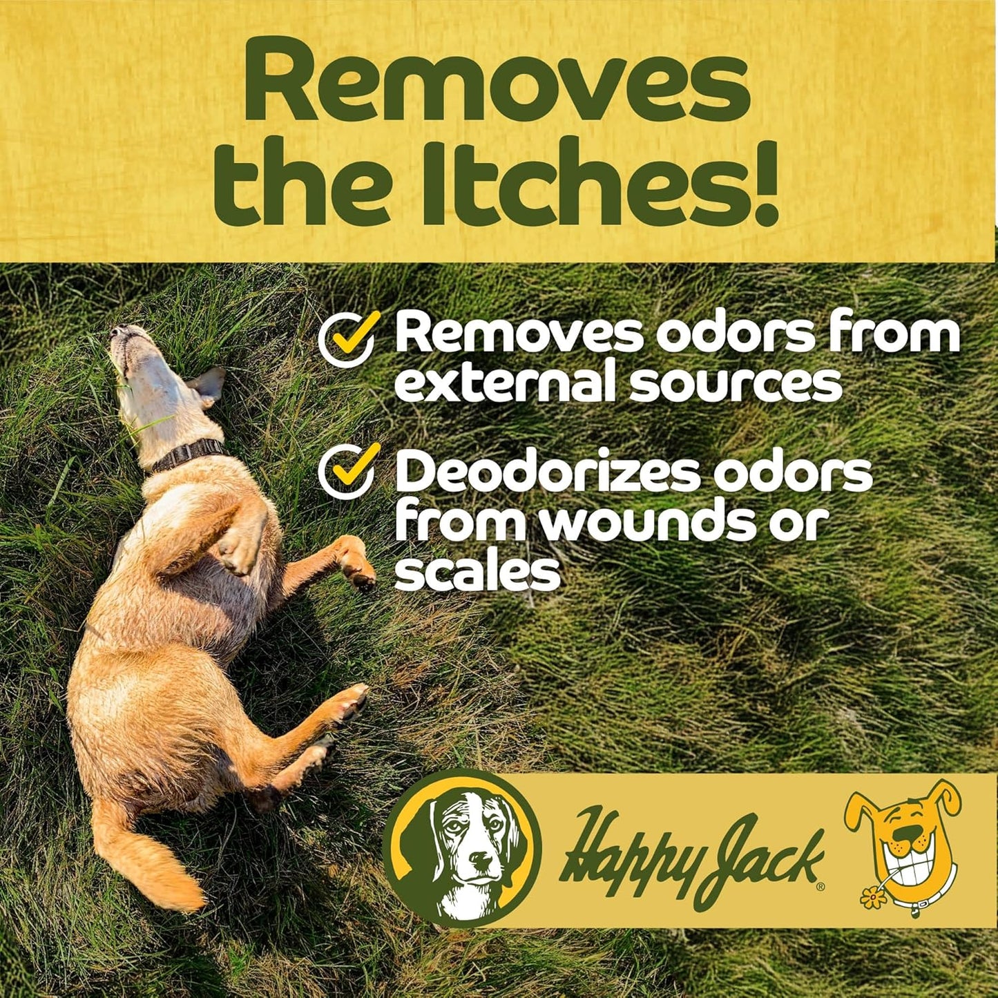 Happy Jack Itch No More Dog Itchy Skin Shampoo & Treatment (16 oz), Flea Bites, Allergies & Itch Relief, Stops Itching, Scratching & Gnawing on First Application for Healthy Dog Skin & Coat