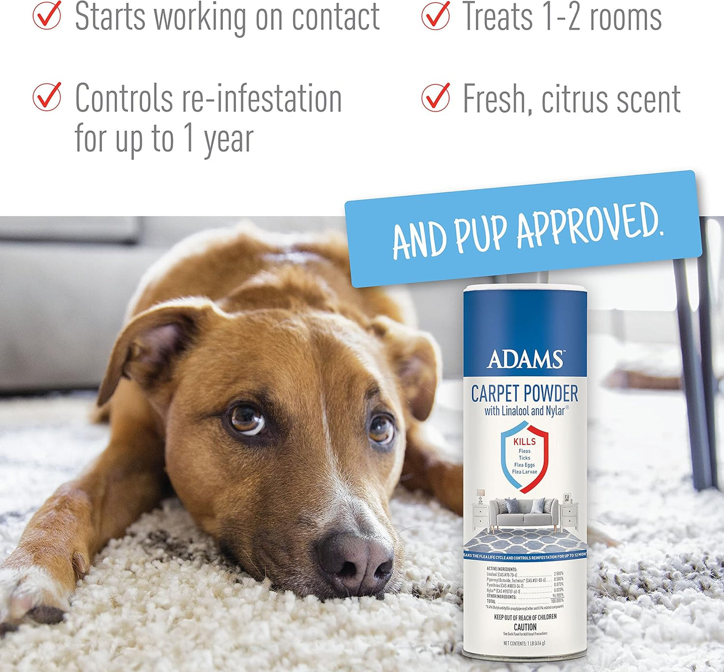 Adams Carpet Powder + Shampoo Bundle