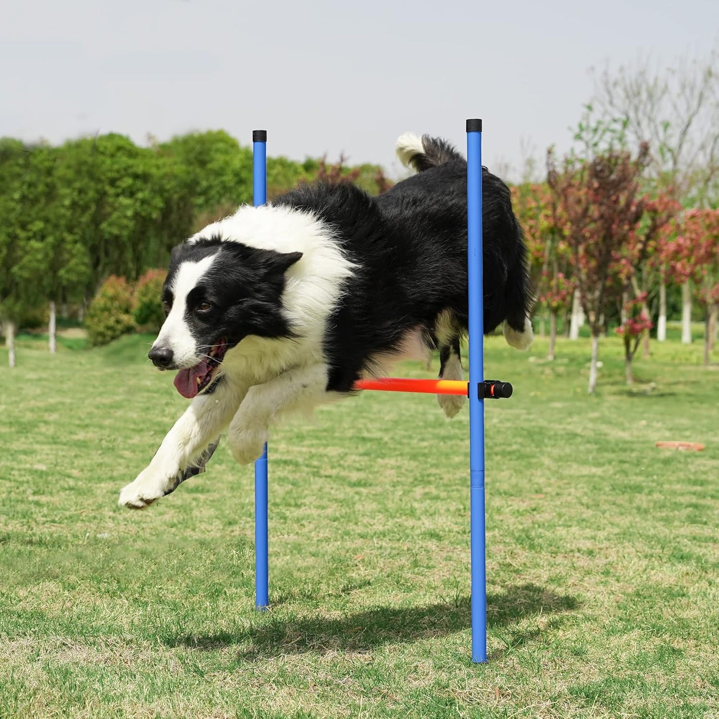 Dog Agility Training Equipment Pet Obstacle Training Course Kit Dog Outdoor Games with Tunnel, Adjustable Hurdle, Pause Box, Toys and Carrying Bag