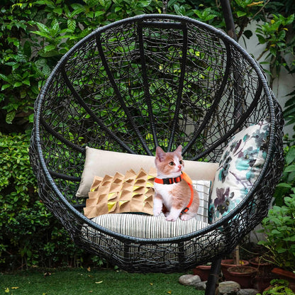 Cat Harness Leash Set with Cartoon Bunny Design, Wear-Resist Adjustable Kitten Harness and Outdoor Pulling Strap, Size S Carrot Pattern for Small Cats and Kittens