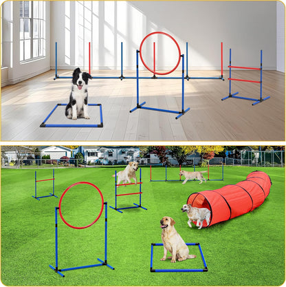 DWVO Dog Agility Accessories Kit: Comprises of a Teaser Pole, 2 Hurdles, 3 Flying Discs, 6 Weaving Poles, Agility Tunnel, Pause Box, Full Set of Agility Equipment for Backyard Indoors Outdoors