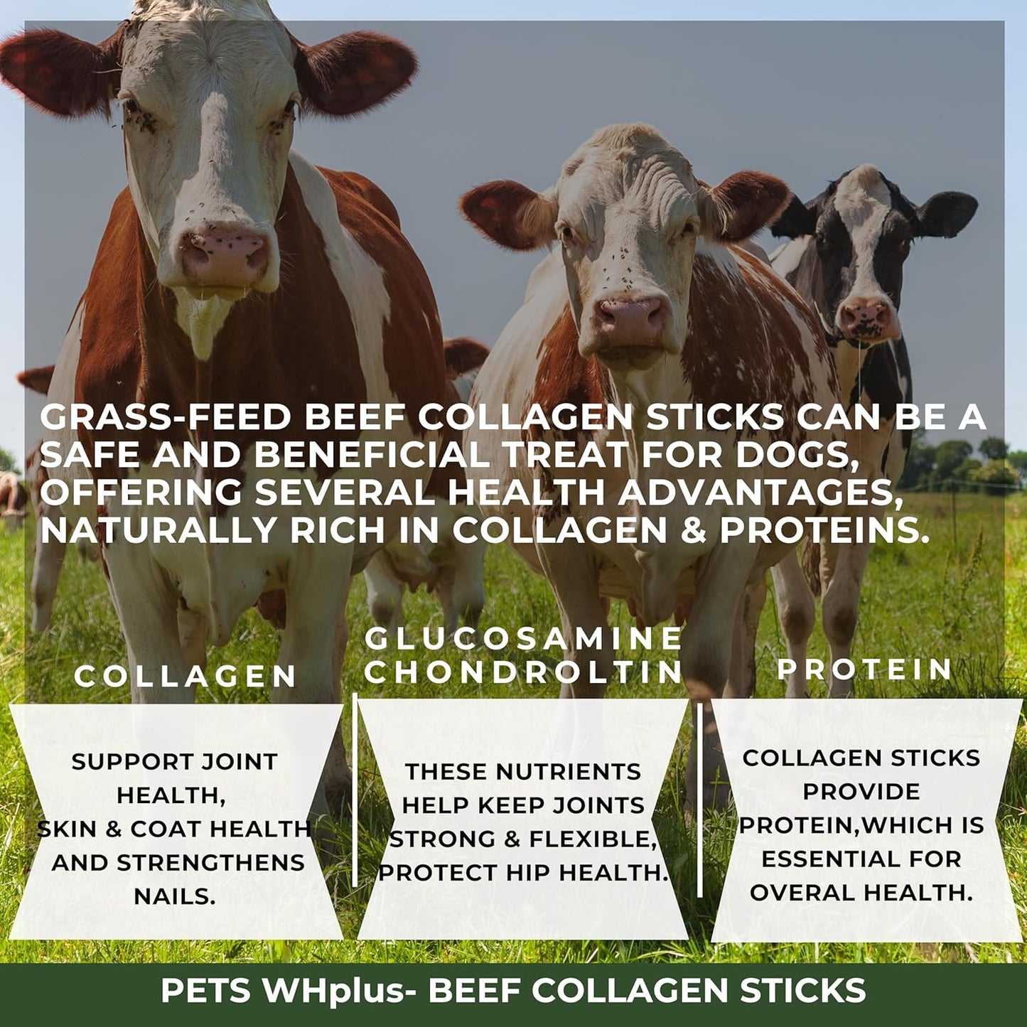 Pets WH Plus-Premium High Collagen Beef Dog Chews, 100% Natural, Single Ingredient, Grass-Fed Beef, 6” Sticks, 5 Count | Long-Lasting, Grain-Free, Rawhide-Free, Supports Joint Mobility & Dental Health