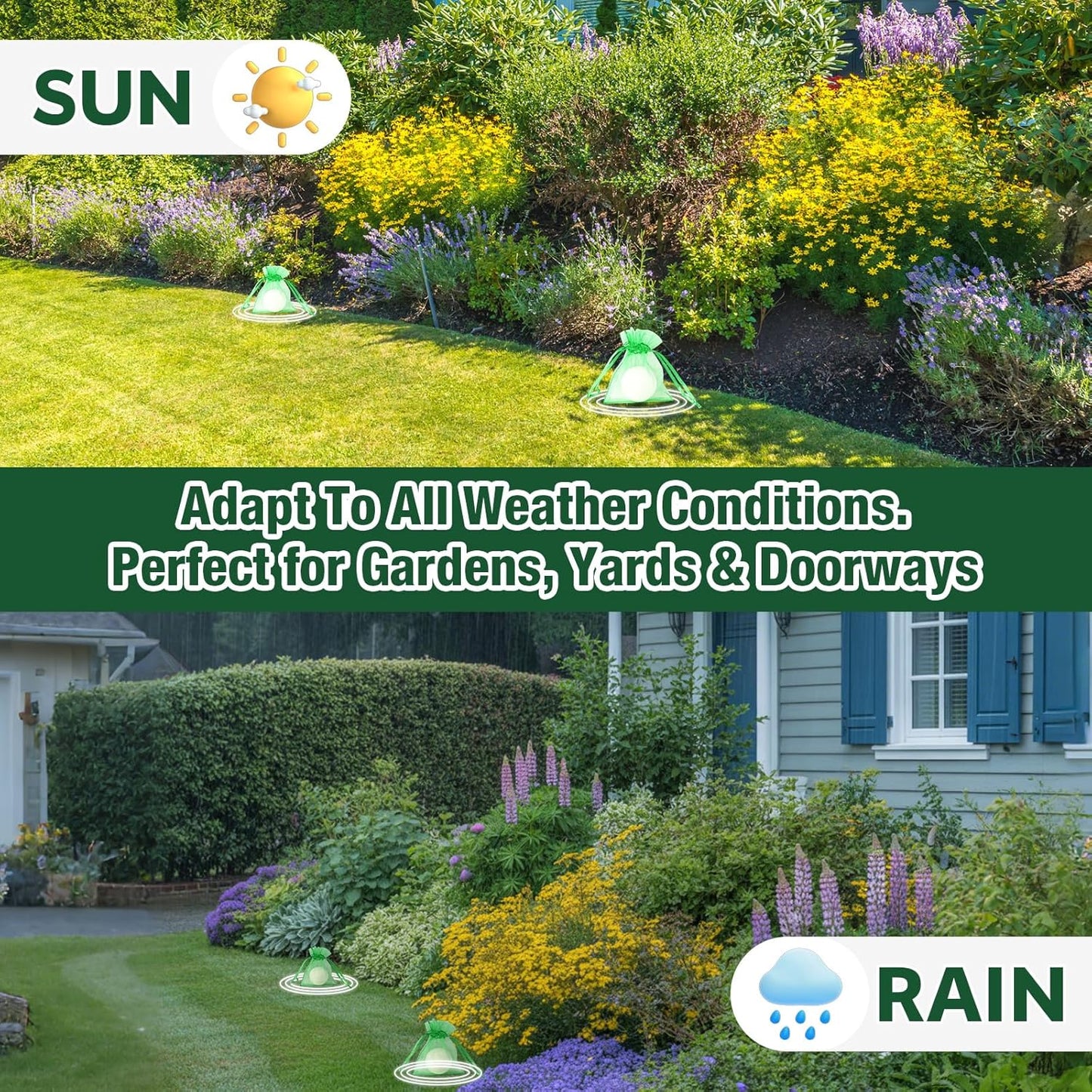 Cat Repellent Outdoor & Indoor, Cat Deterrent Outdoor Indoor, Natural Grapefruit Oil Keep Cats Out of Yard Permanently, Keep Cats Away from Garden, Furniture, and More, 10 PCS (Pack of 1)