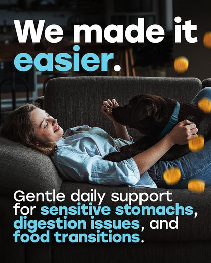 Chewable Dog Probiotics – All-in-One PhD-Endorsed Digestive Enzymes, Prebiotics, Turmeric, Omega-3 & Fiber – Gut, Diarrhea, Itchy Skin & Ear Support – All Ages, Made in USA, 140 Beef Chews